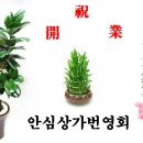팡팡노래방 이미지