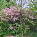 백무동주차장 이미지