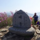 장수 번암막걸리 이미지