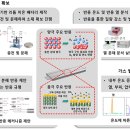 하이 전기박사