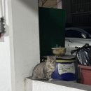 구교준이비인후과의원 | A형 독감 걸린 후기 타미플루 창원구교준이비인후과