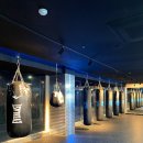 손복싱 | 창원 복싱 초보자도 배우기 좋은 어웨이크복싱 체험 후기