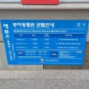 능산리 고분군 전시관 이미지