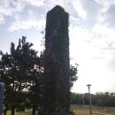 일과1리(대수동) 이미지