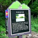 팔공산 둘레길 5구간 이미지