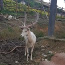 지리산황토휴양펜션 네이버블로그