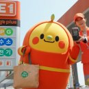 정선태양광발전소 이미지