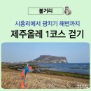성산읍 한도교 | 제주올레 1코스 트래킹 출발지 시흥리 정류장 도착지 광치기 해변