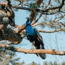 (주)온누리주유소 이미지