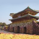 국화라이프 이미지