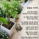 앞뜰 - 미추홀구 인하로105번길 28 | 앞뜰