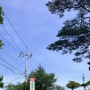 3일 속초 자유여행 1일차(고성 동루골막국수, 대포항 등대활어, 봉브레드, 고성 카페 해쉼터, 속초...
