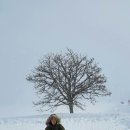 홋카이도 이미지