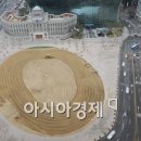 새단장봄단장 이미지