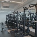 머슬서포트짐 | 전북특별자치도 완주군 헬스장 머슬서포트짐 삼봉점 내용가격운영시간주차리뷰 알아보기