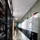 김정훈챠밍복싱센터 소사벌점 이미지