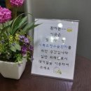 빛사랑안과
