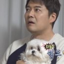 무지개다리 이미지