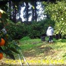 승지농장 이미지