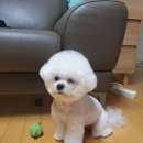 고덕24시 동물병원 이미지