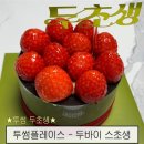 투썸플레이스동탄신리점 | 투썸 두바이 스초생 예약 없이 현장 구매 성공 케이크 솔직 리뷰
