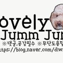 엔젤동물병원 이미지