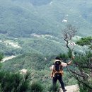 (주)지희 Daum카페