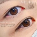 비올라(violla) 이미지