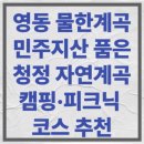 영동군 관광안내소 | 영동 물한계곡, 민주지산 품은 청정 자연계곡 캠핑·피크닉 코스 추천