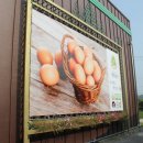 계림2축산 이미지