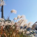 궁민1급자동차공업사 이미지