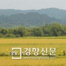 파주통일경기-파주-통일9 이미지