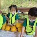 수봉공원 (유아숲체험원) 이미지