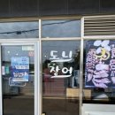 도니장어