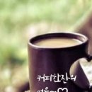 나무향기 Daum카페