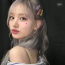 리즈컬러 이미지