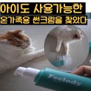 로디글로벌 | 온가족이 안심하는 인생선크림, 필로디 데이 슈프림 멀티 에센스 선스크린 사용 후기