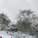 고향목장 이미지