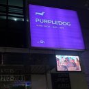 핫 독(HOT DOG) | [서울 / 송파] 데이트 코스 고민 끝! 송파 와인바🍷 퍼플독 송파본점