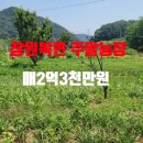 황금터농장 이미지