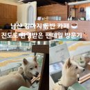 용산도서관 | [남산 강아지 동반 카페 추천] 진도믹스 환영! 블루리본 팬테일 후기 (용산도서관 앞)