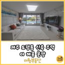 도평초등학교 병설유치원 | 제주 도평동 신축 빌라 주택 분양 매매 더혜윰