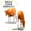 [평택]고덕국제신도시"유일중상"상가분양 이미지