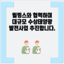 태영태양광발전소 이미지