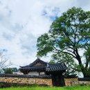 제일강산 이미지