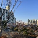 보화2차 아파트 이미지