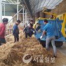 보성축산 이미지
