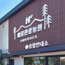 신리낚시터 | [예산 가성비 펜션] 예당관광농원 :: 내돈내산 솔직후기 예당호 산책 데이트코스 추천