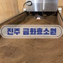 금화공간 | 진주 효소찜질 맛집 금화효소원 진주점 솔직후기 피로 싹 풀리는 힐링 공간