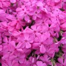 하준농장 이미지